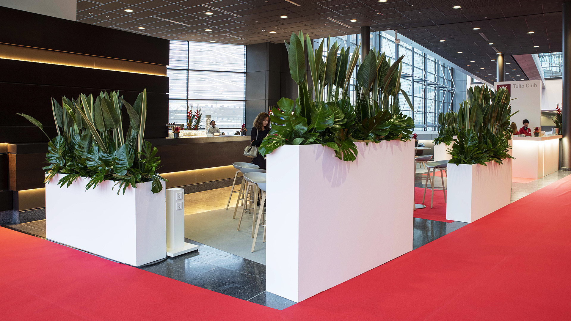 Tulip Club Lounge / Ambiente 2019